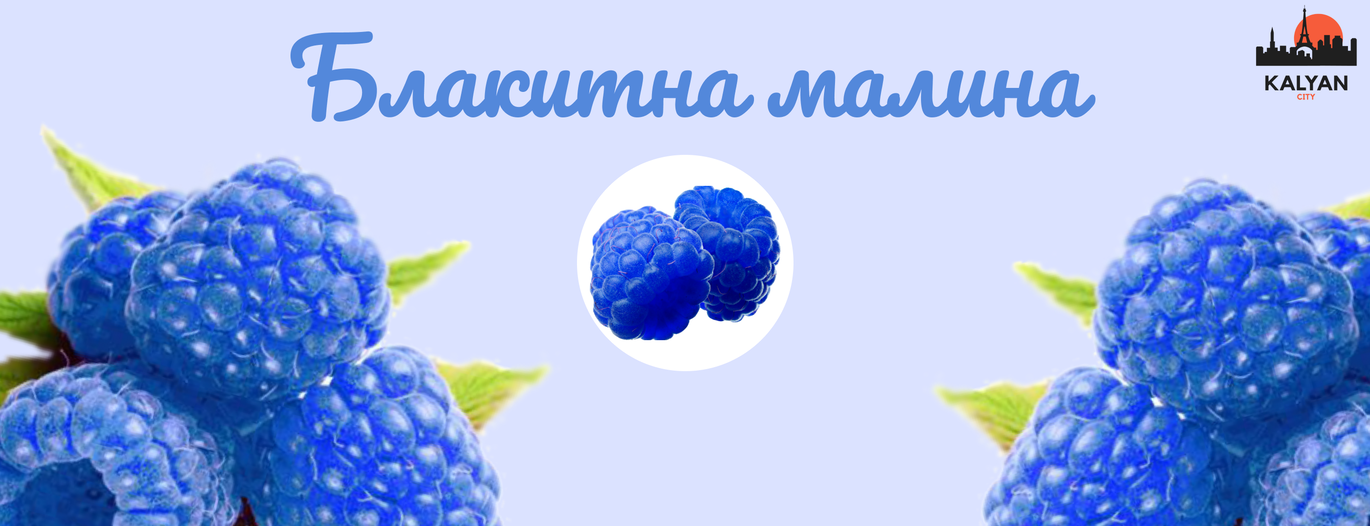 Рідина зі смаком блакитної малини